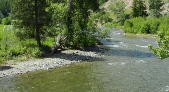 Coldwater River